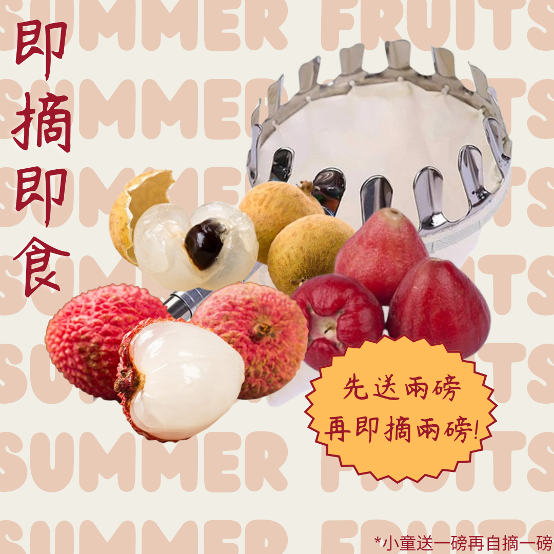 夏日水果祭 (成人入場費)